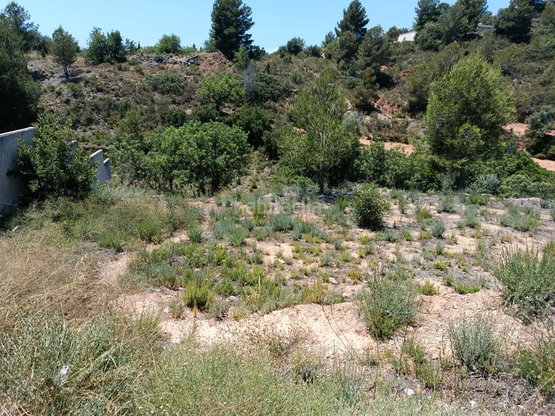 Foto 4bdec4f9-7168-4672-b4cf-6c118fa377f9. Terrain résidentiel dans Alborache