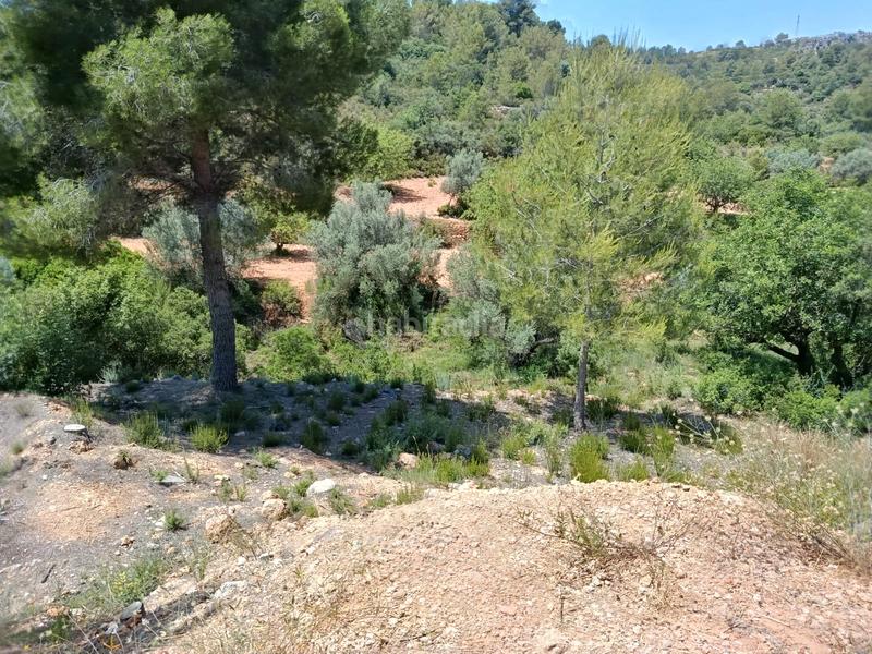 Foto 78007a5e-7d51-4301-b17c-eafc9c4b450c. Terrain résidentiel dans Alborache