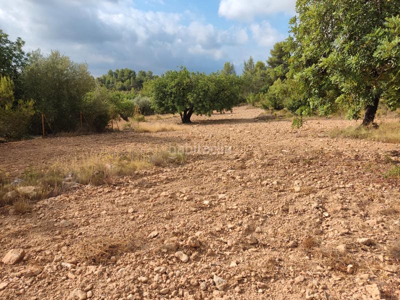 Foto 00b64e14-0b33-4042-8db4-5066119a1513. Propriété dans Alborache