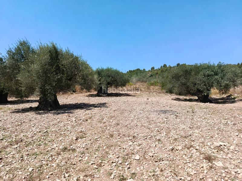 Foto 48fd4073-cb20-4c52-93c5-9a15c155f7e7. Propriété dans Alborache