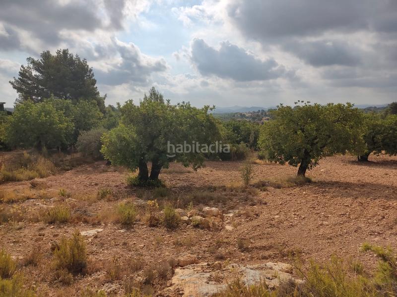 Foto 94fa4782-add0-40ad-960e-bcc9982dd127. Propriété dans Alborache