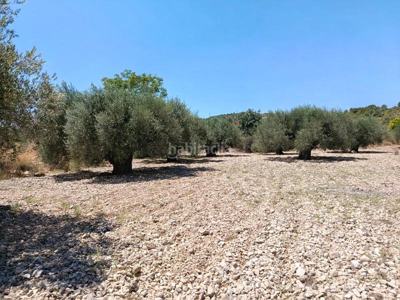 Foto b0949a25-fcd9-40d3-b490-347306ecf4e6. Propriété dans Alborache