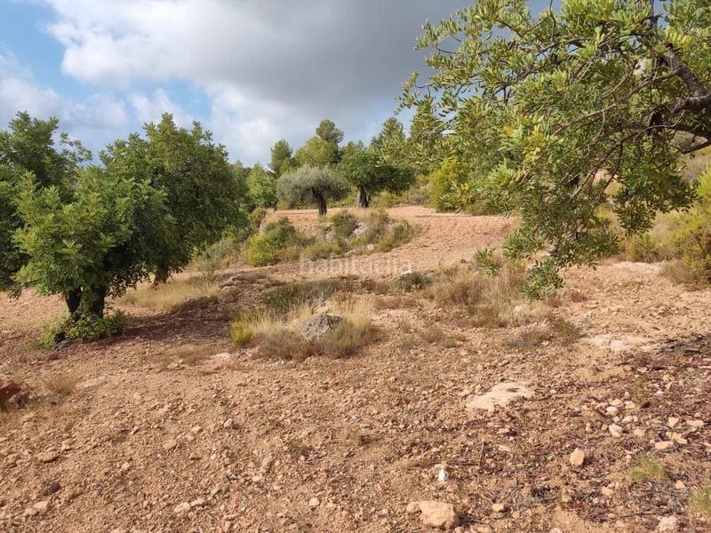 Foto fd954aab-1051-4fbb-8f79-8bff266c1119. Propriété dans Alborache