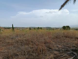 Propriété à Calle 6