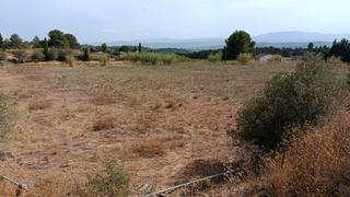 Finca rústica  Calle 6. Se venden varios terrenos en suelo rústico en la zona oroque de