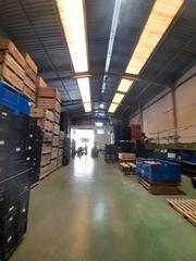 Capannone industriale in Rafelbunyol