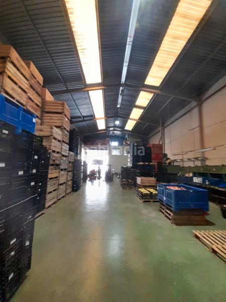Foto 41d0fe6a-3cbf-497f-9c48-c2e967b68c87. Capannone industriale in Rafelbunyol