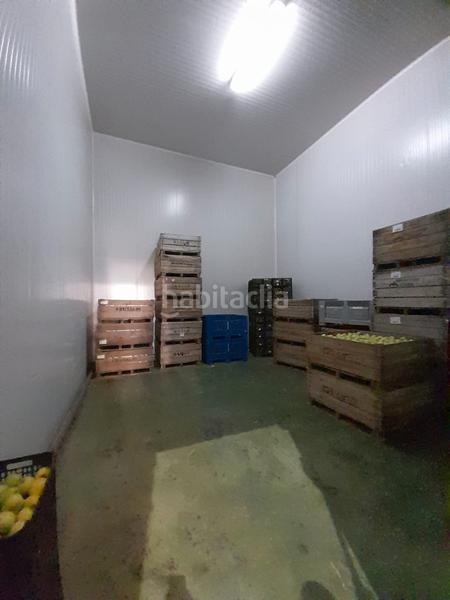 Foto d37650a4-c5d4-46ab-8e97-6cddff49862e. Capannone industriale in Rafelbunyol