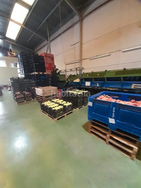 Foto e0c6042c-8326-4cd9-8a08-d001a85751df. Capannone industriale in Rafelbunyol