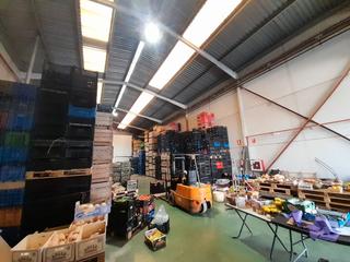 Fabrikhalle in Rafelbunyol
