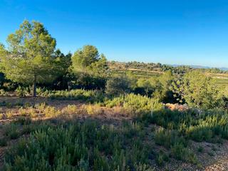 Rural plot in Godelleta. Interesante terreno en venta en godelleta. en la partida la colo