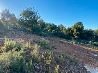 Fondo rustico in Godelleta. Interesante terreno en venta en godelleta. en la partida la colo