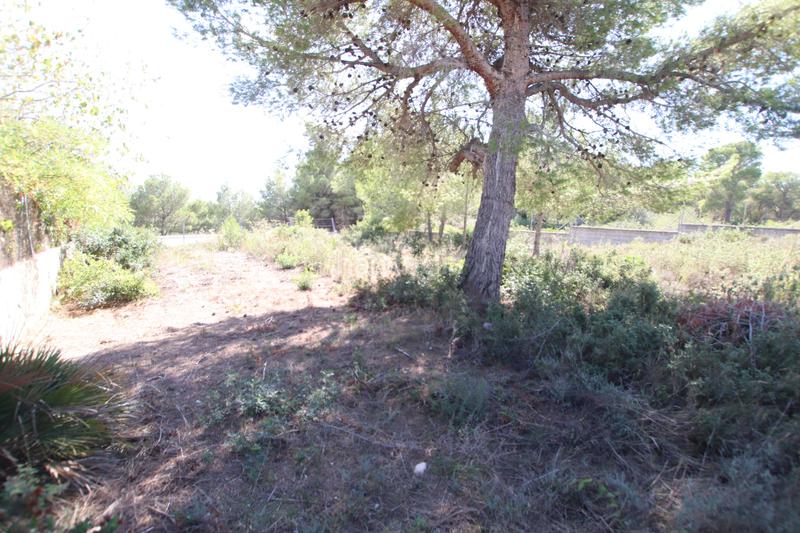 Foto 32958f90-e5ad-41b2-a89e-1103d003a7f7. Terreno residencial en Segur de Calafell nucli urbà Segur de Calafell