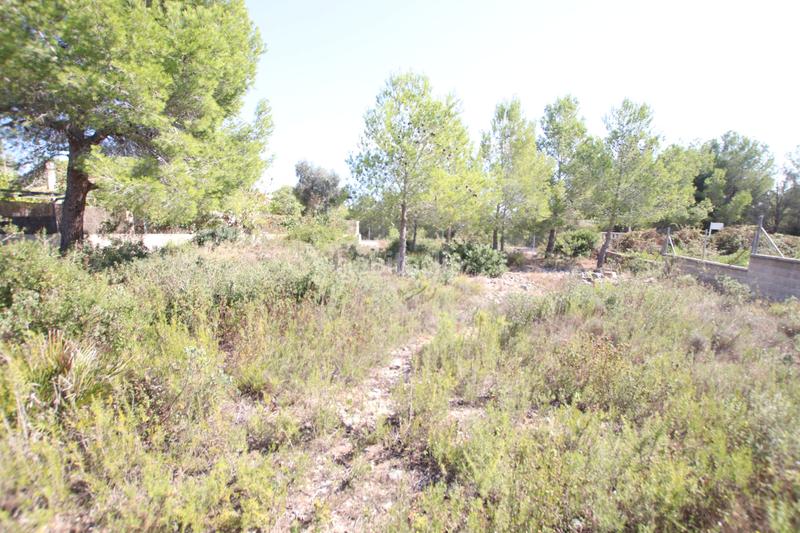 Foto 93cdf569-a1f4-43c0-ba47-db68e02d883d. Terreno residencial en Segur de Calafell nucli urbà Segur de Calafell