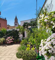 Maison à El Pedró. Casa con terraza en casco antiguo de palamos