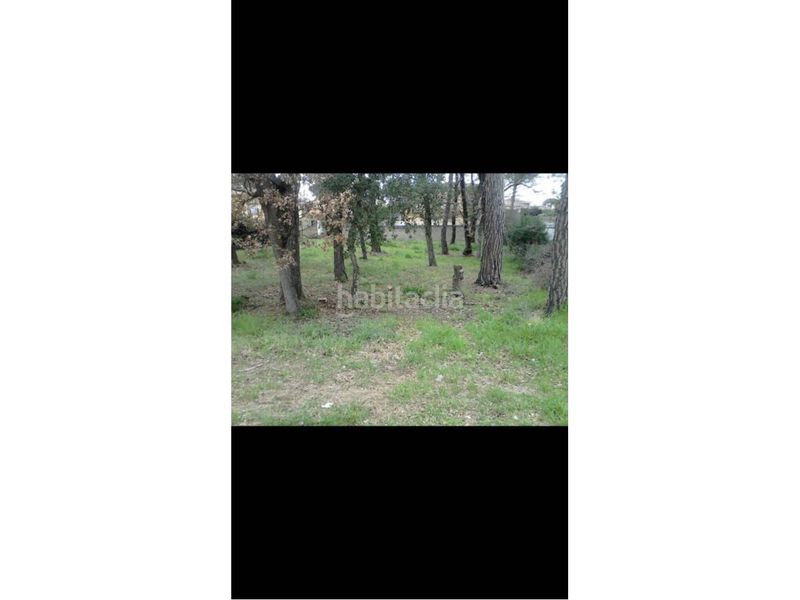 Foto 8da56aff-ab2e-430e-8574-1b57141c45ff. Terreny residencial a Sils