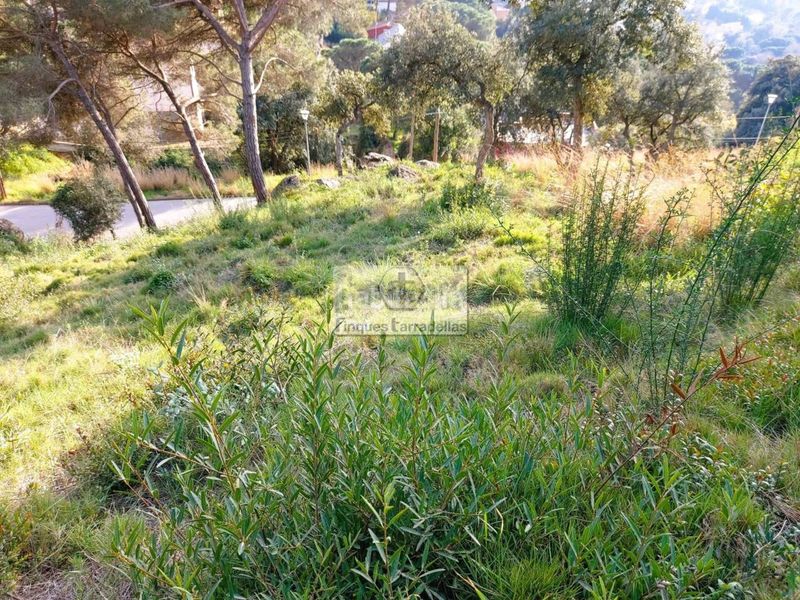 Foto 2f41e577-ed93-426a-af7e-9897f1d6613e. Terreny residencial a Niàgara Parc -Àgora Parc Tordera