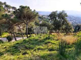 Terreny residencial a Niàgara Parc -Àgora Parc. Terreno en venta en mas móra