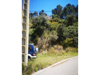 Finca rústica a Palafolls. Terreno en venta en palafolls
