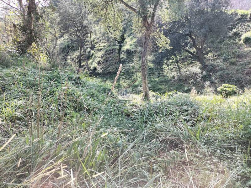 Foto 1bf3a6a5-48cc-4cbb-891c-e16d84311692. Finca rústica a Residencial Park Maçanet de la Selva