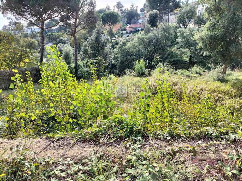 Foto 209b9a72-2ff3-46ba-a804-2c5d672d6ab3. Finca rústica a Residencial Park Maçanet de la Selva