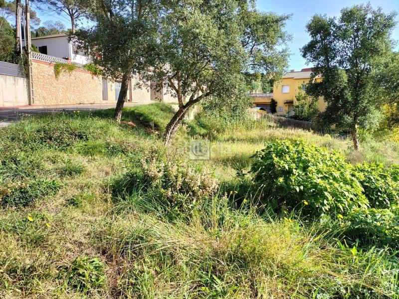 Foto 2d674989-c514-42d6-910e-ec8b0f17fc7f. Finca rústica a Residencial Park Maçanet de la Selva