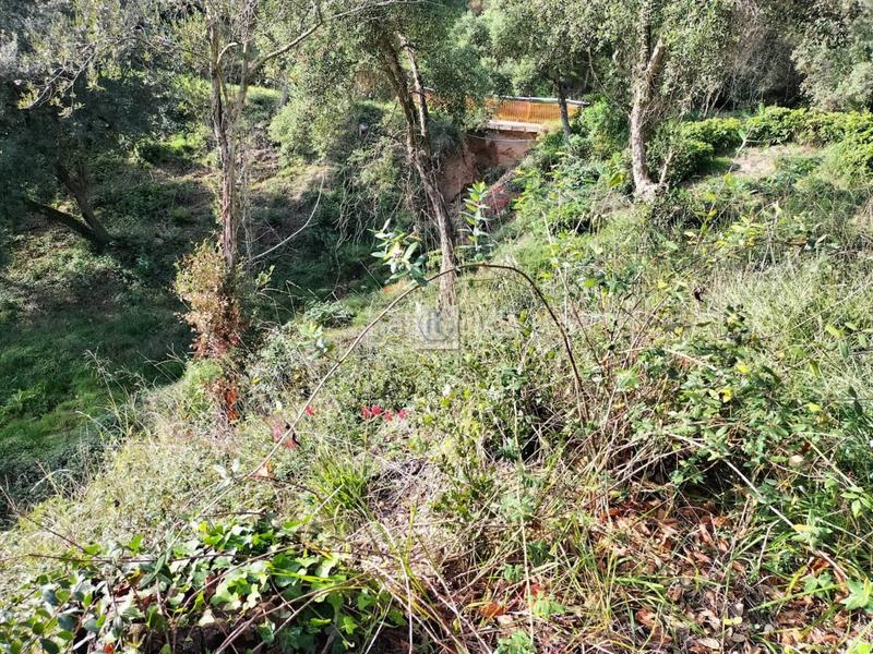 Foto 50a88e31-fc6d-4930-a0e6-e03eedb92e4f. Finca rústica a Residencial Park Maçanet de la Selva