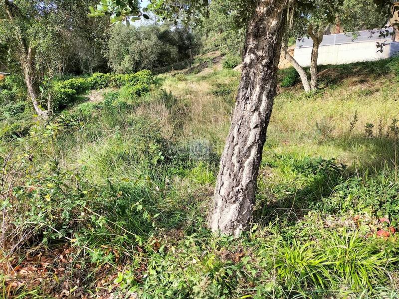 Foto 9d108fb2-3b3c-4d78-b968-4abf428c40d6. Finca rústica a Residencial Park Maçanet de la Selva