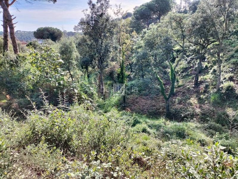 Foto a13c5e95-e4ac-4d4a-a419-5646e7aea9d3. Finca rústica a Residencial Park Maçanet de la Selva
