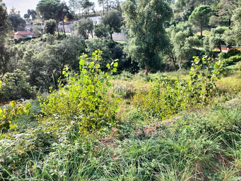 Foto a92e2f98-8859-4f88-a408-11c7486afe62. Finca rústica a Residencial Park Maçanet de la Selva