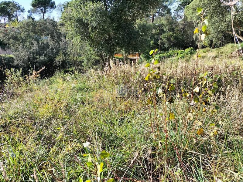 Foto d878279c-5a0f-4268-a8d1-75328fd02015. Finca rústica a Residencial Park Maçanet de la Selva