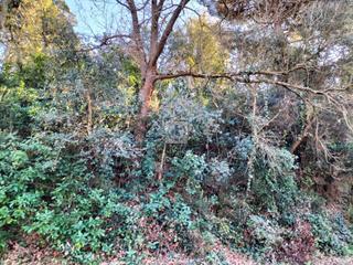 Finca rústica  Noguera. Terreno en venta en vidreres