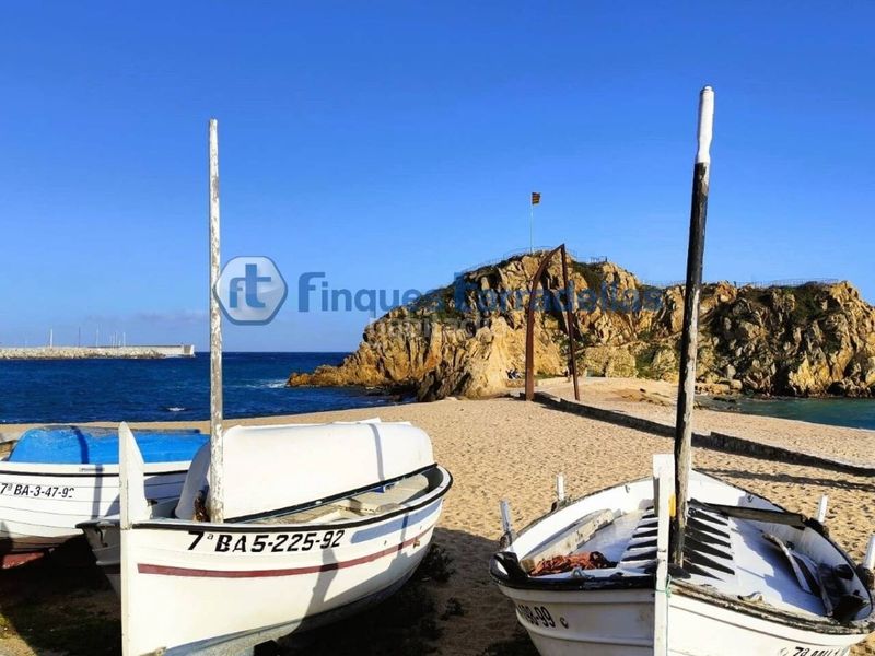 Foto db20da86-5c14-40e2-845f-70877f2649fd. Studio dans Centre Blanes