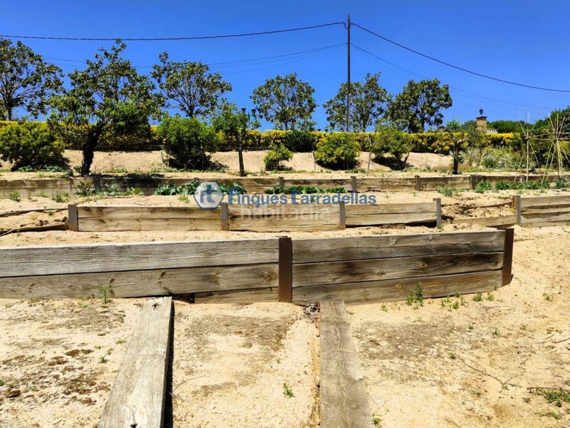 Foto a94c9774-9b85-4286-9678-6e08e658b104. Finca rústica a Mas Mora-Sant Daniel Tordera