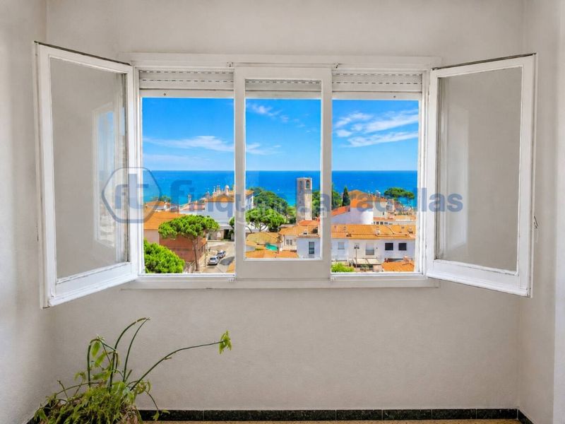 Foto d84ed2e5-4ff4-4f51-902a-3e82803a0193. Pis a Els Pins Blanes