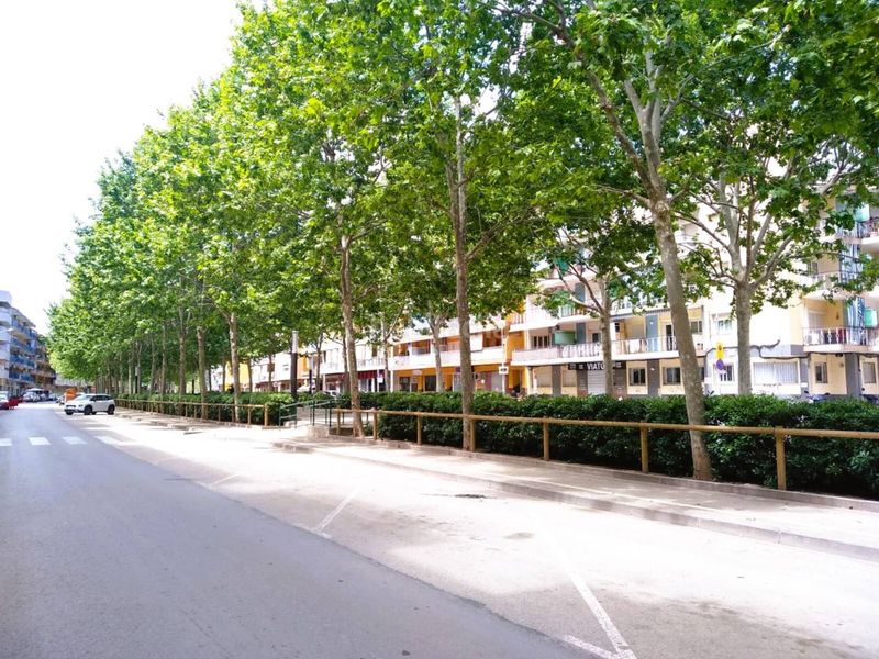 Foto 6eef4b5c-1348-4ff7-979f-7c46f80af20c. Aparcament cotxe a Els Pins Blanes