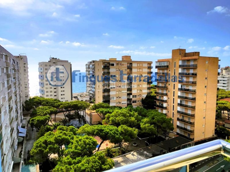 Foto cb350371-d720-4115-914f-7500d370b0f1. Studio dans Els Pins Blanes
