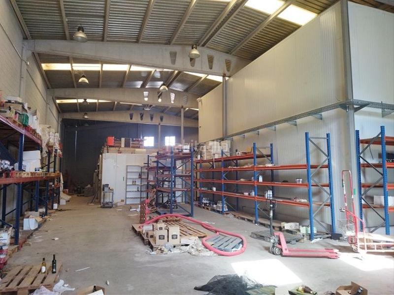 Foto f9ad02eb-b478-48a0-9009-2bacf262c201. Fabrikhalle in Artés