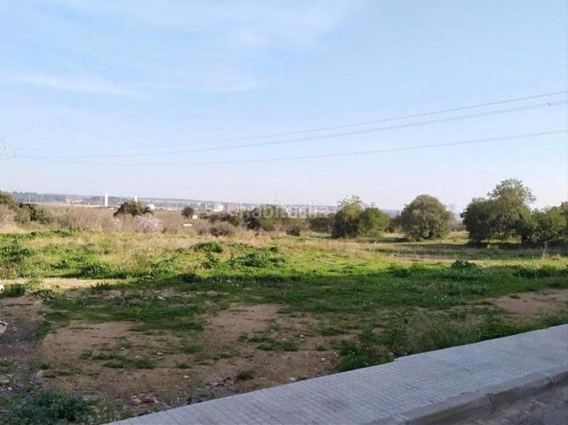 Foto ff272d83-e328-4067-bf75-f813221b4821. Terrain résidentiel dans carrer tarragona 18b dans Vilallonga del Camp