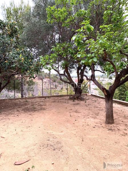 Foto 01857544-8509-4e29-9b8a-f038e26ed5b6. Casa amb calefacció piscina a Corbera