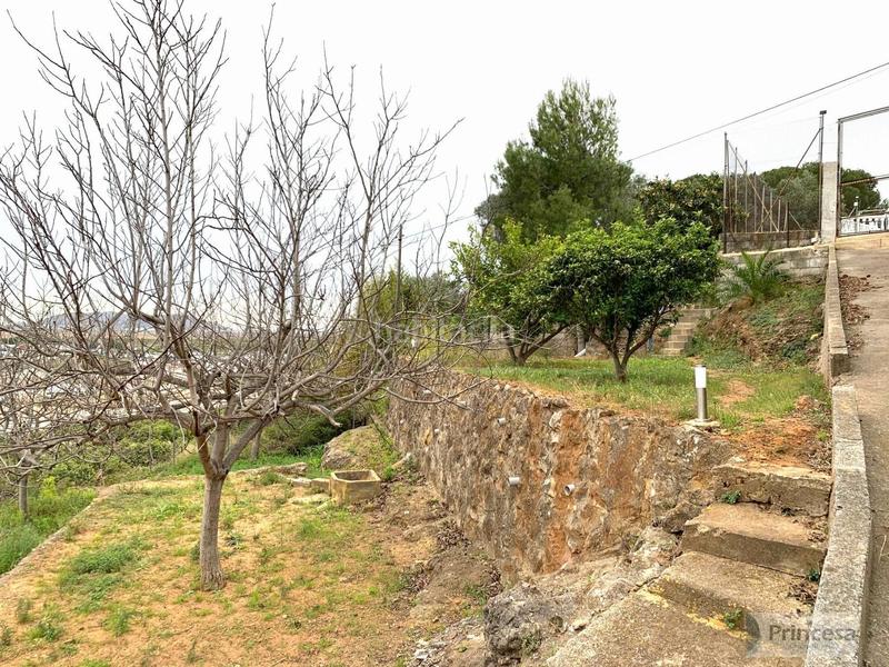 Foto 1c46ef87-997d-4daa-a391-f0ba8f5dee8d. Casa amb calefacció piscina a Corbera