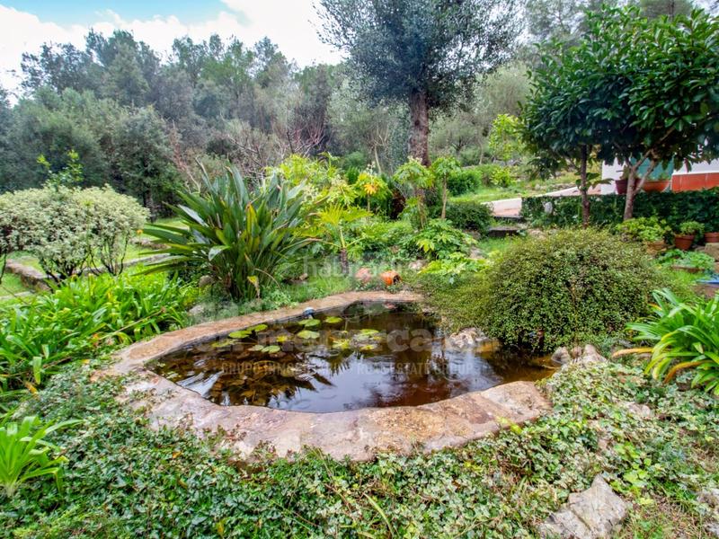 Foto 6ee85ed2-05fe-4261-bc92-81d022004530. Masía bonita casa de campo con piscina en sa roca en Es Mercadal
