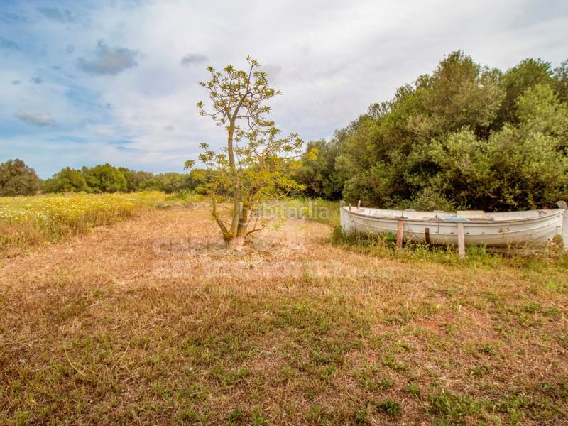 Foto 998e79e7-ec40-4dd0-ba4c-33279bbaf92b. Masía finca con piscina y licencia en llucmesanes en Maó