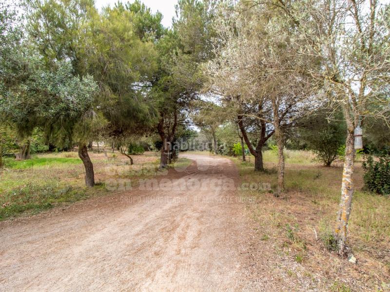 Foto c5e162f9-caa8-4ee9-bba9-b6a8151cea88. Masía finca con piscina y licencia en llucmesanes en Maó