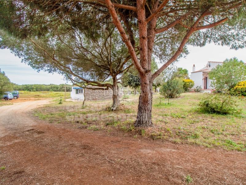 Foto ef682928-7326-4661-9423-ccb1b927180e. Masía finca con piscina y licencia en llucmesanes en Maó