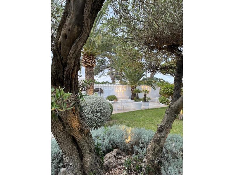 Foto ec142359-f2b9-47b8-ac15-02cfe9ef69d0. Mas dans Sant Lluís-s´ullestrar-torret Sant Lluís