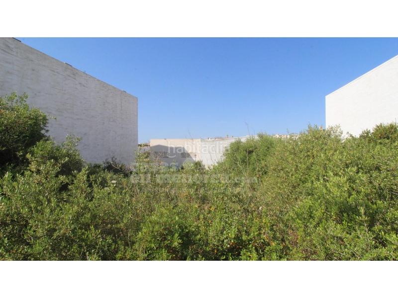 Foto 598ce777-db78-4665-ba26-2614a20491c7. Terreno residencial solar edificable en el polígono en Alaior