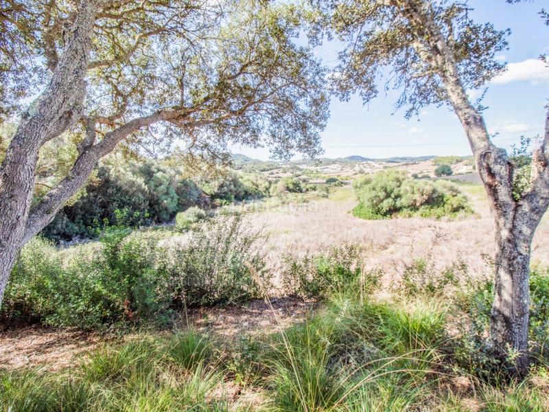 Foto 58776e47-9d7e-435e-8b0b-7094dd1a002a. Casale in Es Mercadal poble Es Mercadal