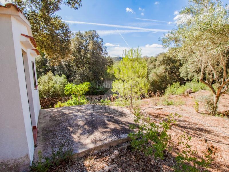 Foto a5ea1e46-1eef-471b-8780-1085ab93cff4. Casale in Es Mercadal poble Es Mercadal