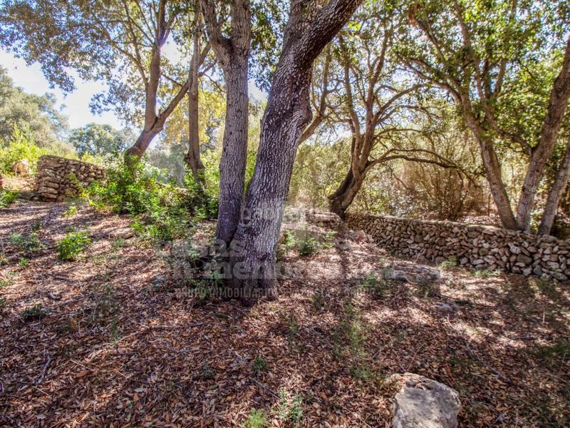 Foto b5d65039-70e5-4d4c-b400-4618c00c2837. Casale in Es Mercadal poble Es Mercadal